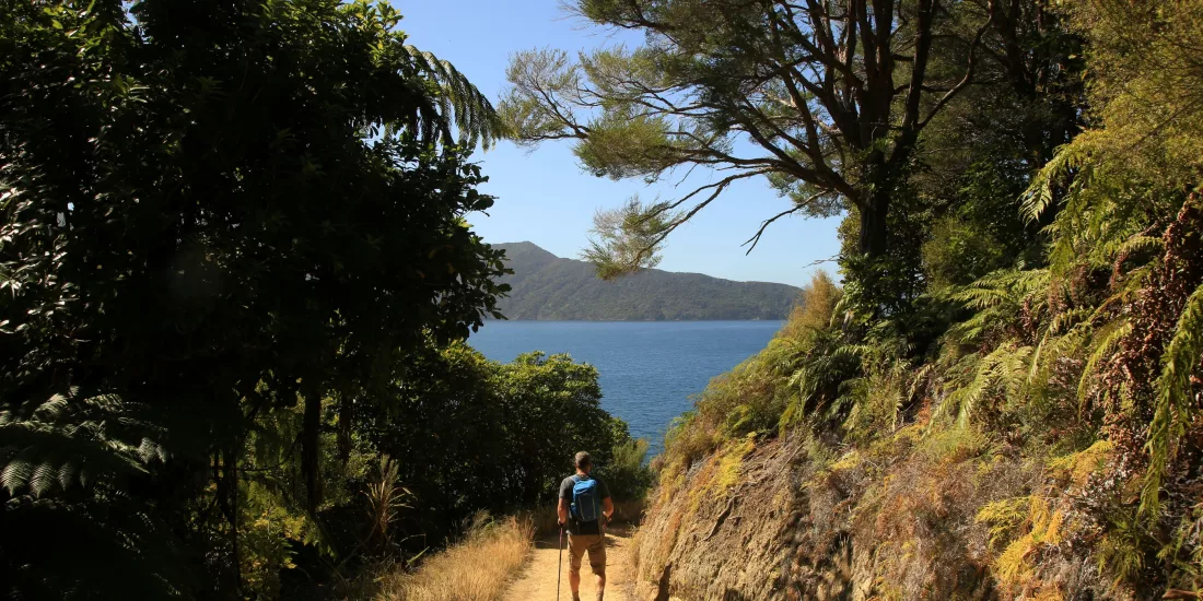 Solo hiker walking towards a scenic ocean viewpoint near Punga Cove
