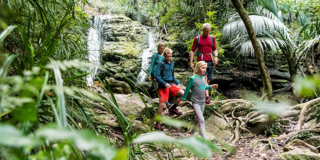 Family hiking through forest beside a small waterfall on Queen Charlotte Track
