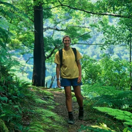 Woman hiking a forest section of the Queen Charlotte Track in Marlborough Sounds, New Zealand
