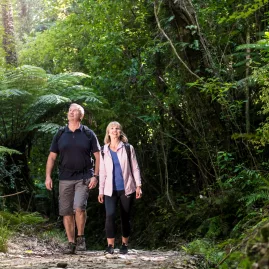 Couple walking through dense bush on a sunny day near Furneaux Lodge