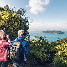 Couple taking photos of Marlborough Sounds from forested lookout