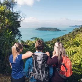 Three hikers with backpacks admire the view over Marlborough Sounds from Queen Charlotte Track