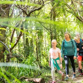 Children and adults hiking through sun-dappled forest near Furneaux Lodge on Queen Charlotte Track