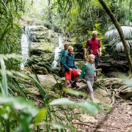 Family hiking through forest beside a small waterfall on Queen Charlotte Track