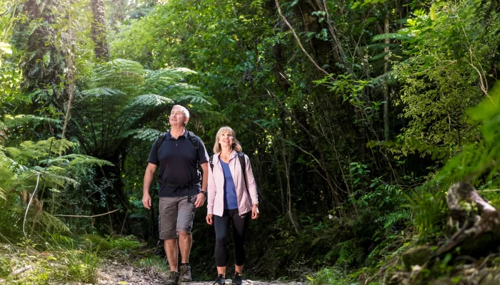 Couple walking through dense bush on a sunny day near Furneaux Lodge