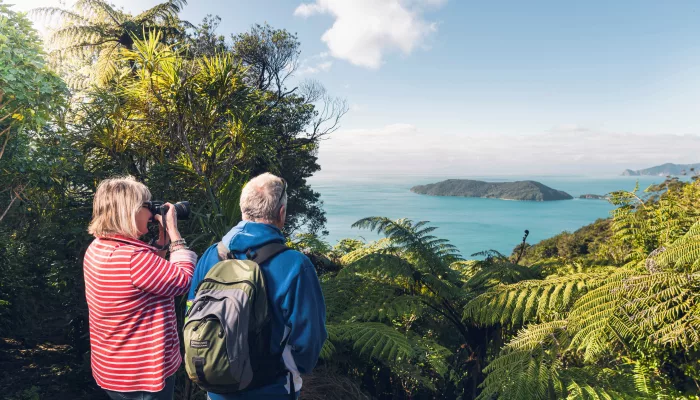 Couple taking photos of Marlborough Sounds from forested lookout
