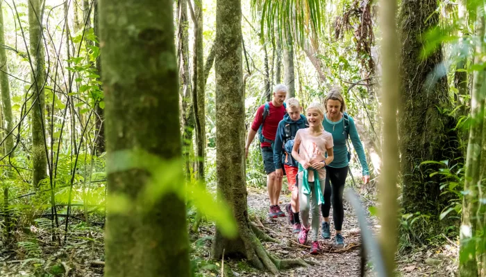 Family hiking together through native forest near Furneaux Lodge on the Queen Charlotte Track