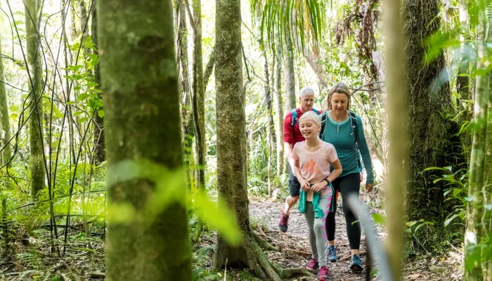 Parents and children enjoying a nature walk through forest on Queen Charlotte Track