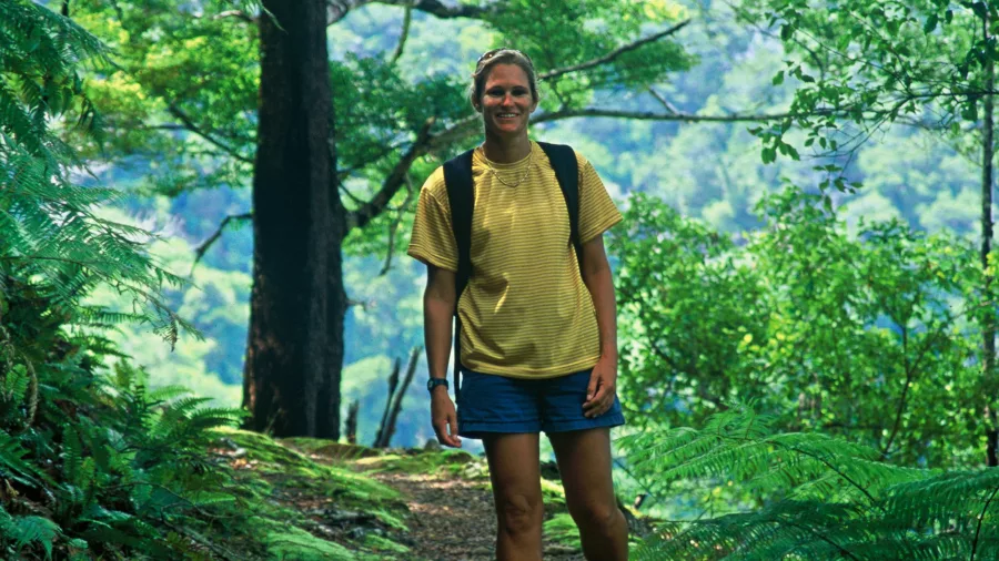 Woman hiking a forest section of the Queen Charlotte Track in Marlborough Sounds, New Zealand