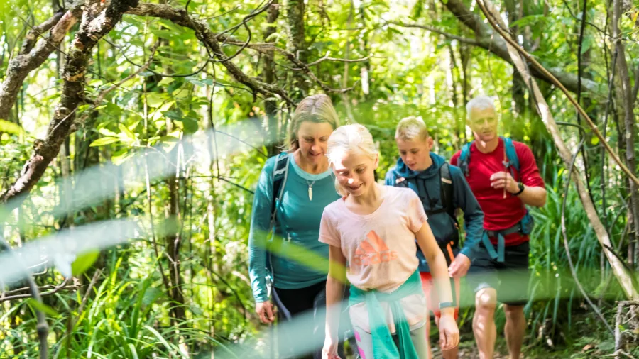 Smiling family group walking through vibrant native bush on Queen Charlotte Track