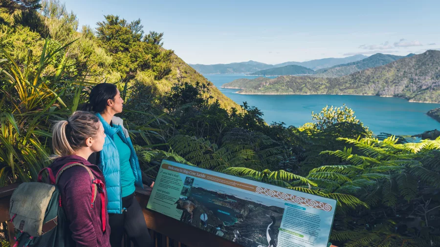 Two hikers enjoying the view from The Saddle on the Queen Charlotte Track between Ship Cove and Furneaux Lodge