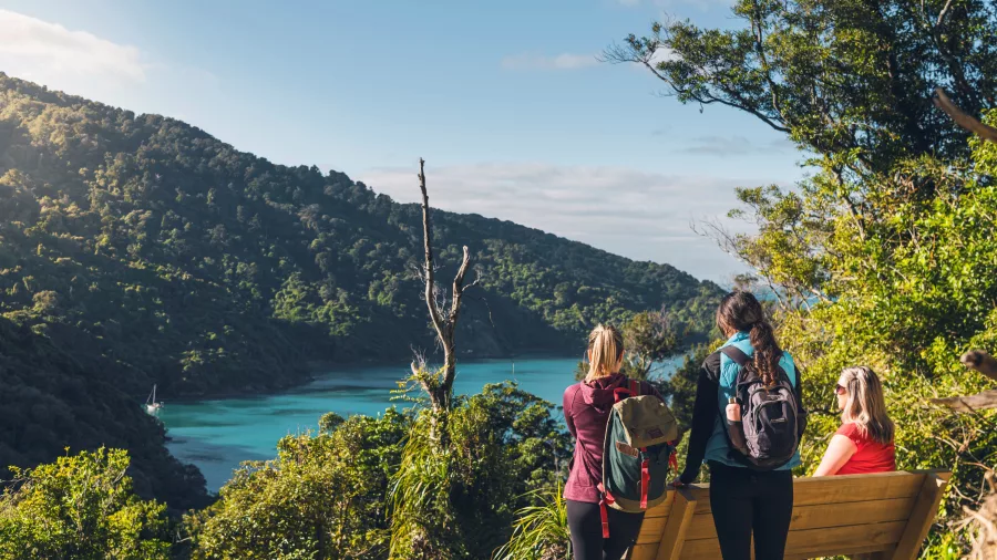 Group of hikers enjoying panoramic views from a bench overlooking Ship Cove, Marlborough Sounds