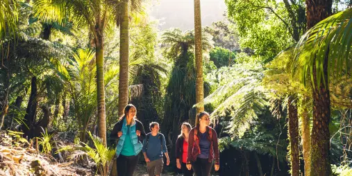 Group of walkers exploring native bush on the Queen Charlotte Track