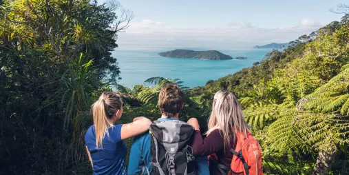 Three hikers with backpacks admire the view over Marlborough Sounds from Queen Charlotte Track