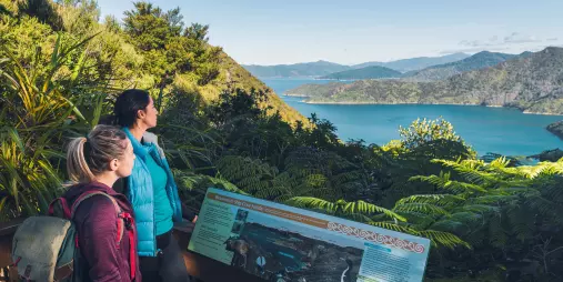Two hikers enjoying the view from The Saddle on the Queen Charlotte Track between Ship Cove and Furneaux Lodge