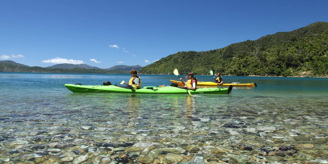 Guided kayaking tour on crystal-clear waters in Queen Charlotte Sound, Marlborough Sounds