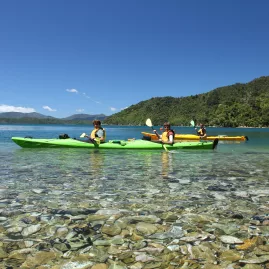 Guided kayaking tour on crystal-clear waters in Queen Charlotte Sound, Marlborough Sounds