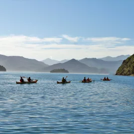 Group of kayakers exploring Queen Charlotte Sound with mountain views in the background