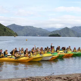 Large group of people in colourful kayaks enjoying a guided tour in Queen Charlotte Sound