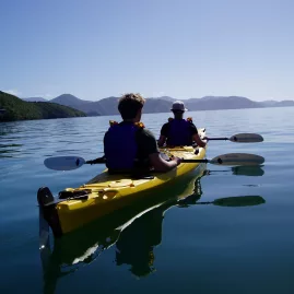 Two people kayaking on calm waters in Queen Charlotte Sound, Marlborough