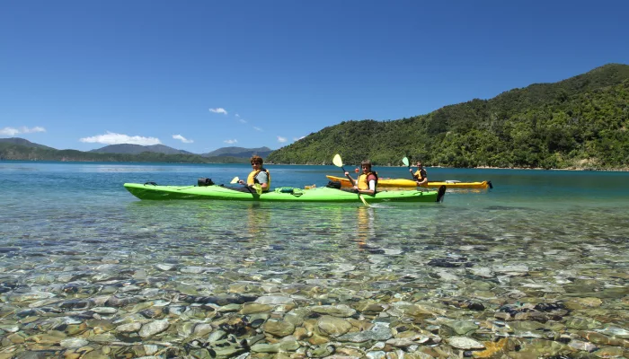 Guided kayaking tour on crystal-clear waters in Queen Charlotte Sound, Marlborough Sounds