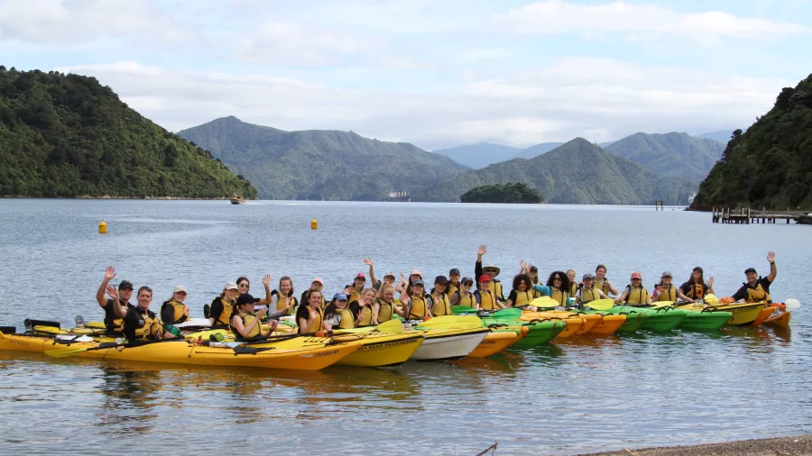 Large group of people in colourful kayaks enjoying a guided tour in Queen Charlotte Sound