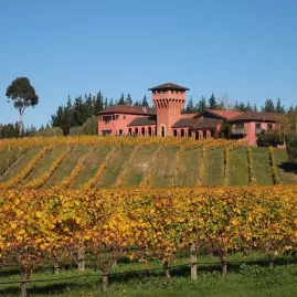 Highfield Estate Winery in Marlborough, surrounded by golden autumn vines under a clear blue sky.