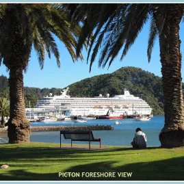 Cruise ship docked at Picton Harbour viewed from the foreshore park.