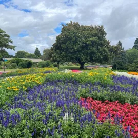 Colourful flower beds and mature trees at Pollard Park in Blenheim.