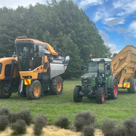 Modern grape harvester and trailer in a Marlborough vineyard.