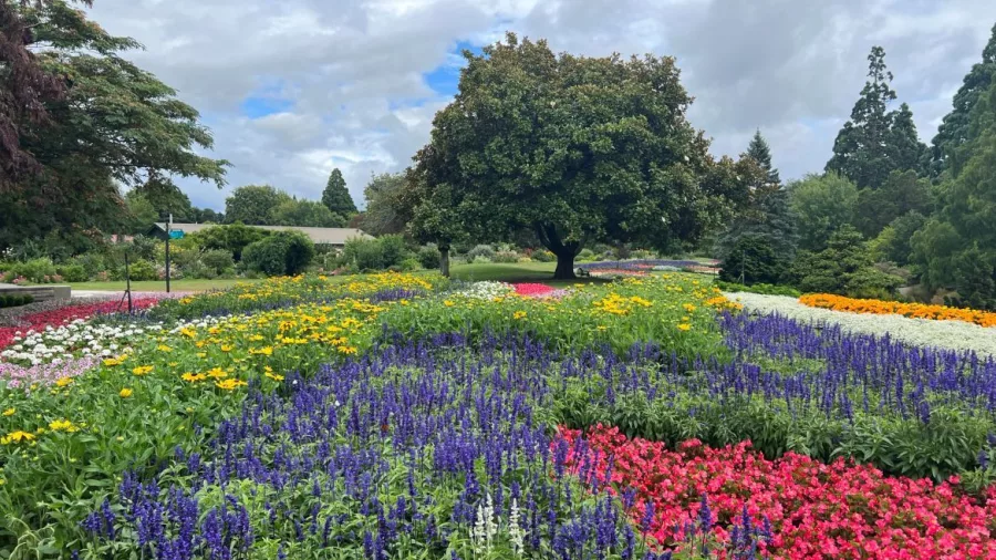 Colourful flower beds and mature trees at Pollard Park in Blenheim.