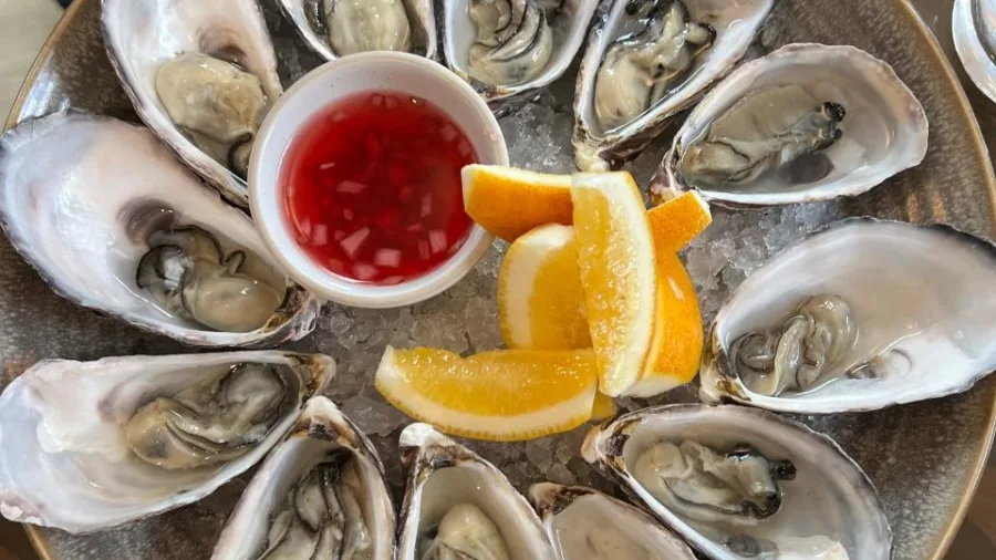 Plate of fresh New Zealand oysters served on ice with lemon and vinaigrette