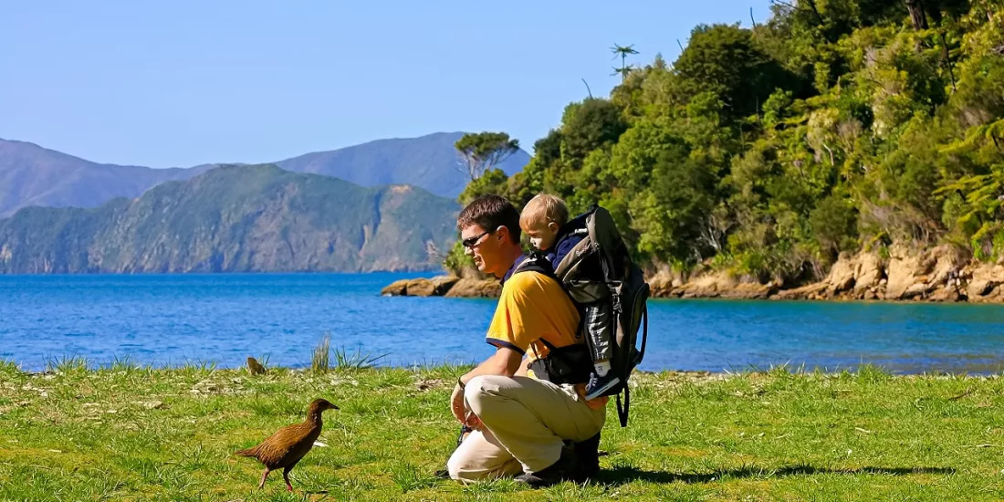 Visitor and baby meet a curious Weka at Ship Cove in the Marlborough Sounds.