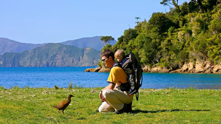 Visitor and baby meet a curious Weka at Ship Cove in the Marlborough Sounds.