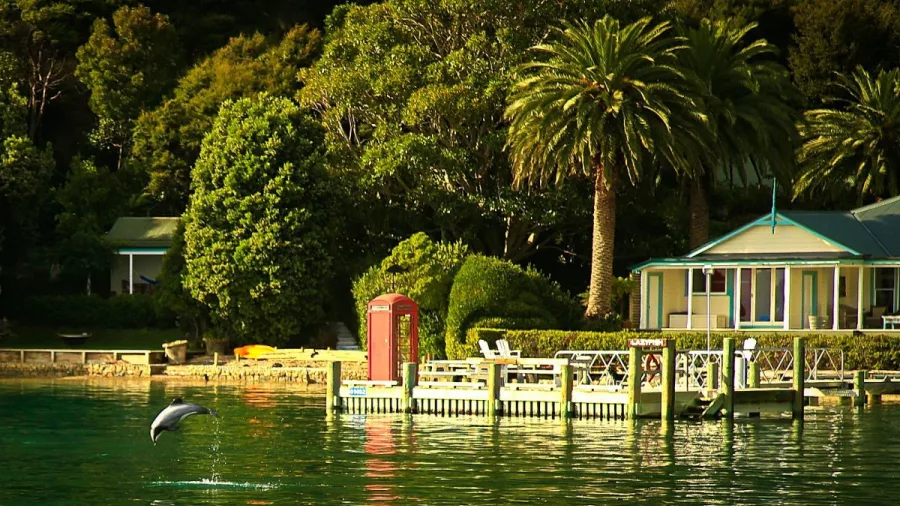A Dusky dolphin leaps in front of a seaside house and jetty in the Marlborough Sounds.