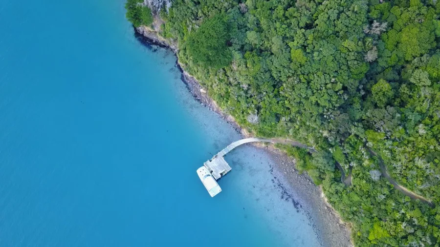 Aerial view of the Motuara Island jetty surrounded by native bush and turquoise water.