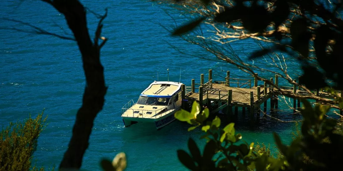 Jetty at Motuara Island surrounded by native bush in the Marlborough Sounds