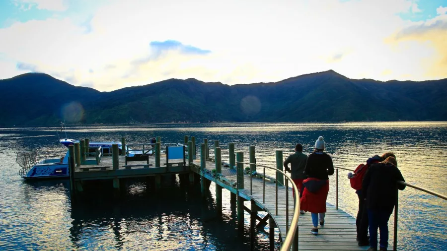 Tour group walking along Ship Cove jetty in the Marlborough Sounds at sunrise