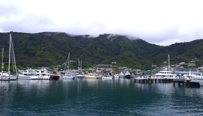 Yachts moored at Picton Marina in Marlborough, New Zealand