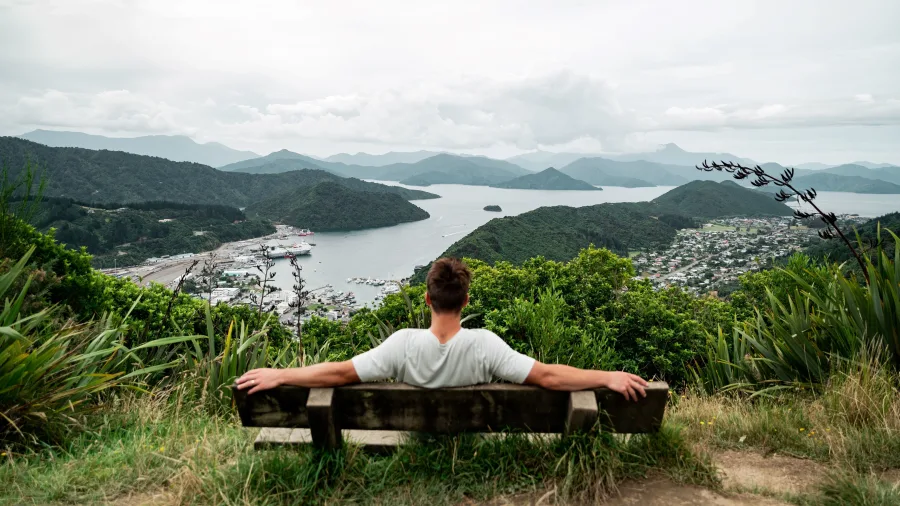 Person relaxing at Tirohanga Track lookout with view over Picton and Marlborough Sounds