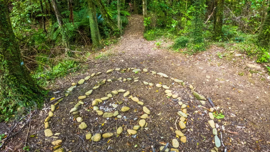 Stone spiral artwork on the forest floor along the Queen Charlotte Track