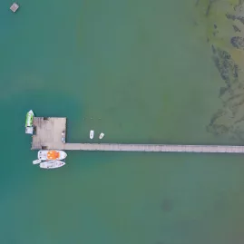 Drone shot of Ship Cove jetty stretching into the blue-green waters of Queen Charlotte Sound