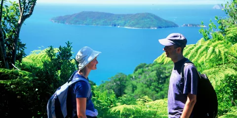 Hikers enjoying the view from Ship Cove Lookout on the Queen Charlotte Track, Marlborough Sounds