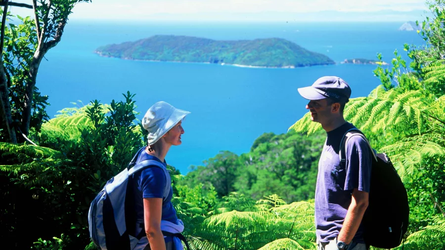 Hikers enjoying the view from Ship Cove Lookout on the Queen Charlotte Track, Marlborough Sounds