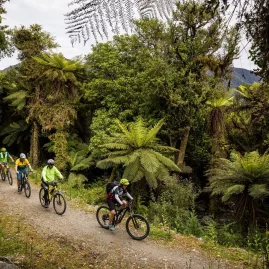 Group of mountain bikers riding through lush native forest on New Zealand’s West Coast Wilderness trail.