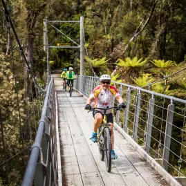 Cyclists crossing a suspension bridge through rainforest on the West Coast of New Zealand.