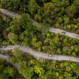 Aerial view of cyclists riding along a winding trail through dense native forest on New Zealand’s West Coast.