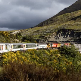 The TranzAlpine train winding through Arthur’s Pass with scenic mountain views in New Zealand.