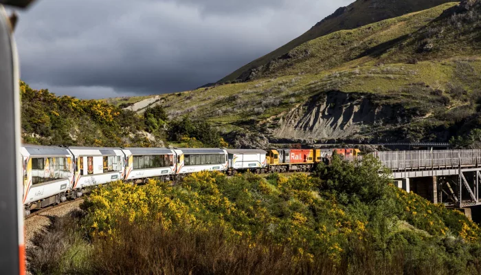 The TranzAlpine train winding through Arthur’s Pass with scenic mountain views in New Zealand.