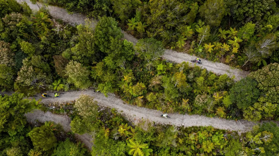 Aerial view of cyclists riding along a winding trail through dense native forest on New Zealand’s West Coast.